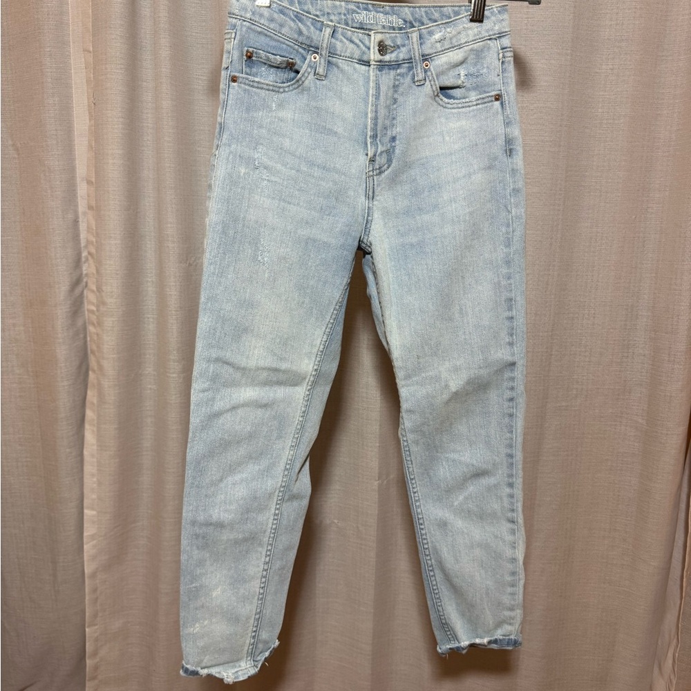 Wild Fable Light Blue Skinny Jeans with Subtle Fading